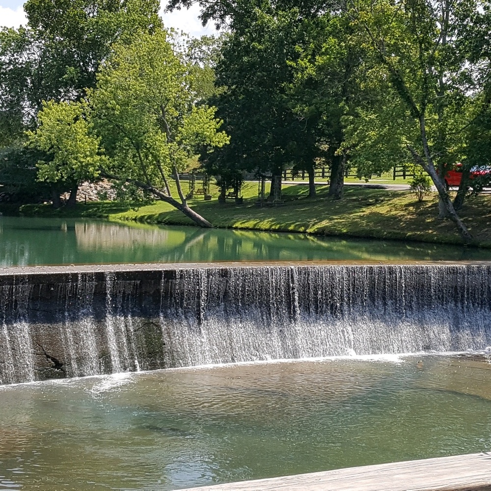 Meet your Posher, Kim